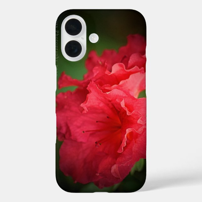 Coque Pour iPhone 16 Belle Fleur Rouge * Coque-Mate coque iphone (Verso)