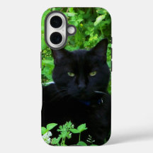 Black Cat iPhone / coque ipad