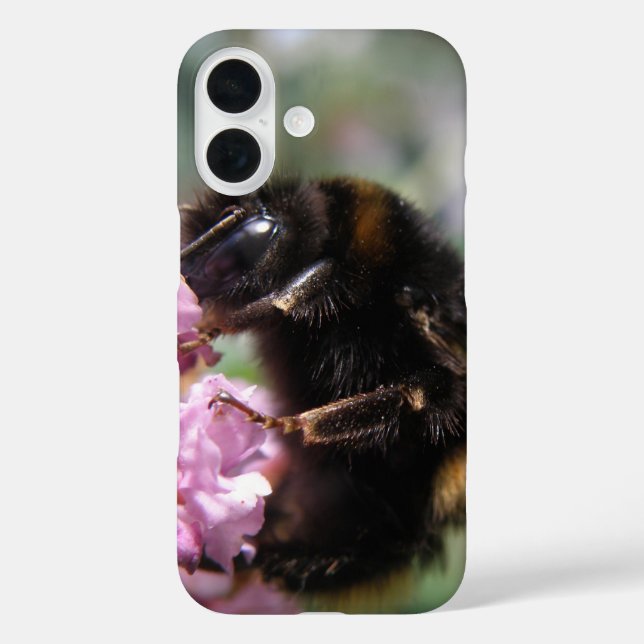 Coque Pour iPhone 16 Busy Bumblebee et coque iphone de fleurs roses (Verso)