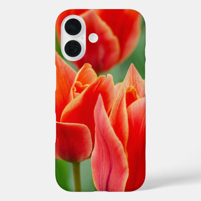 Coque Pour iPhone 16 Coque iPhone 16 Tulipes Orange Rouge (Verso)