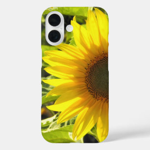 Coque Pour iPhone 16 Coque iphone de la lueur de tournesol