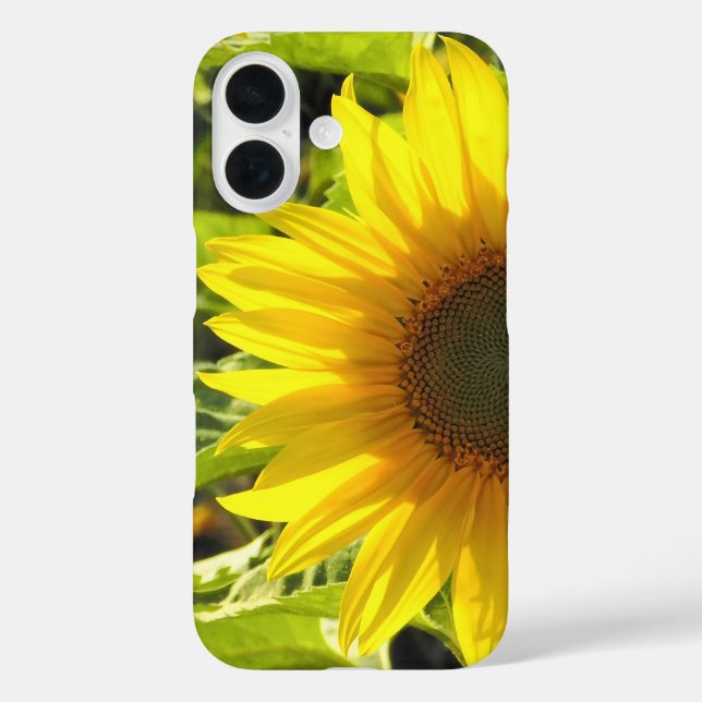 Coque Pour iPhone 16 Coque iphone de la lueur de tournesol (Verso)