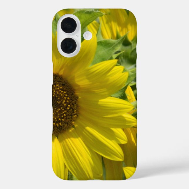 Coque Pour iPhone 16 Coque iphone du jardin de tournesol (Verso)