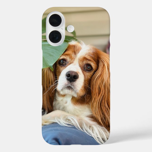 Coque Pour iPhone 16 Coque iphone du roi Charles Cavalier 16 (Verso)