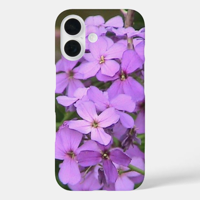 Coque Pour iPhone 16 Coque iphone Fleur sauvage violet (Verso)