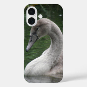 Coque Pour iPhone 16 Le cygne gracieux sur le coque iphone d'eau