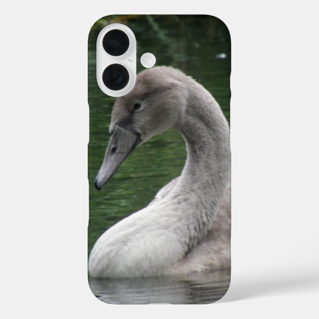 Coque Pour iPhone 16 Le cygne gracieux sur le coque iphone d'eau (Verso)