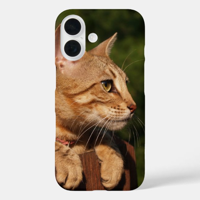 Coque Pour iPhone 16 Savannah coque iphone (Verso)