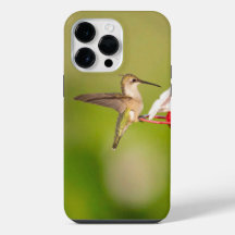 Coque de téléphone iPhone Colibri à gorge rubis #1