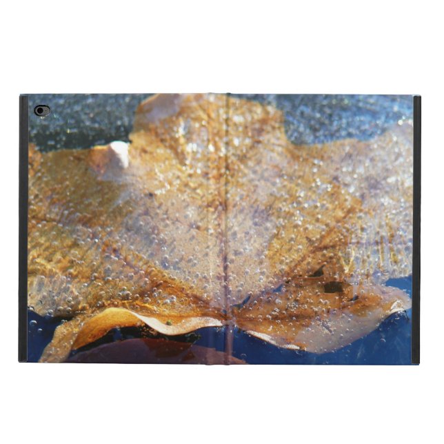 Coque Powis iPad Air 2 Feuille d'érable jaune congelée Automne Nature (Extérieur)