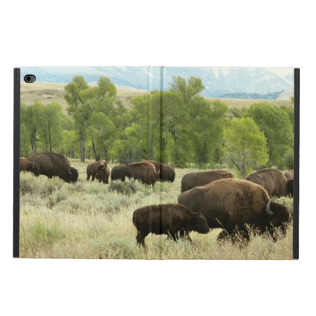 Coque Powis iPad Air 2 Wyoming Bison Nature Animal Photographie (Extérieur)