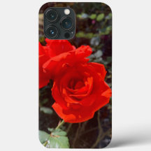 Coque Red Rose iPhone 13 Pro Max