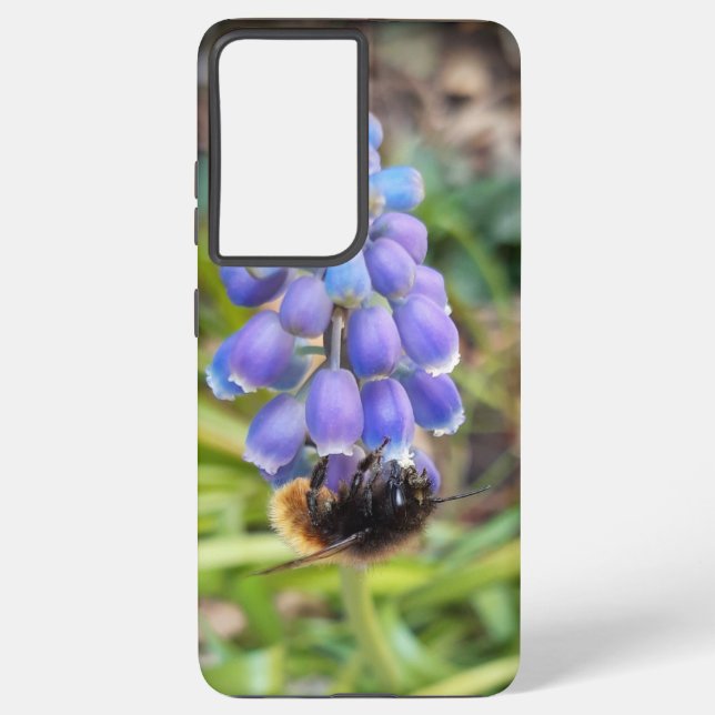 Coque Samsung Galaxy Abeille sur Muscari Armeniacum, Grape Hyacinth (Verso)