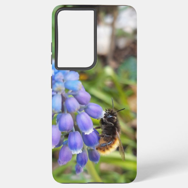 Coque Samsung Galaxy Abeille sur Muscari Armeniacum, Grape Hyacinth (Verso)