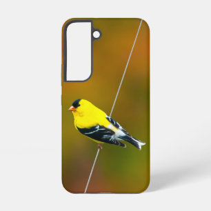 Coque Samsung Galaxy American Goldfinch - Photo originale