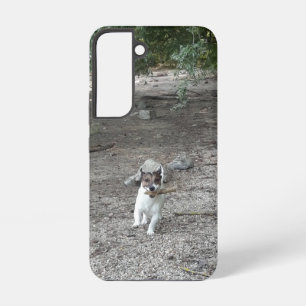 Coque Samsung Galaxy Capo von Oppenheim, Jack Russell Terrier Chien