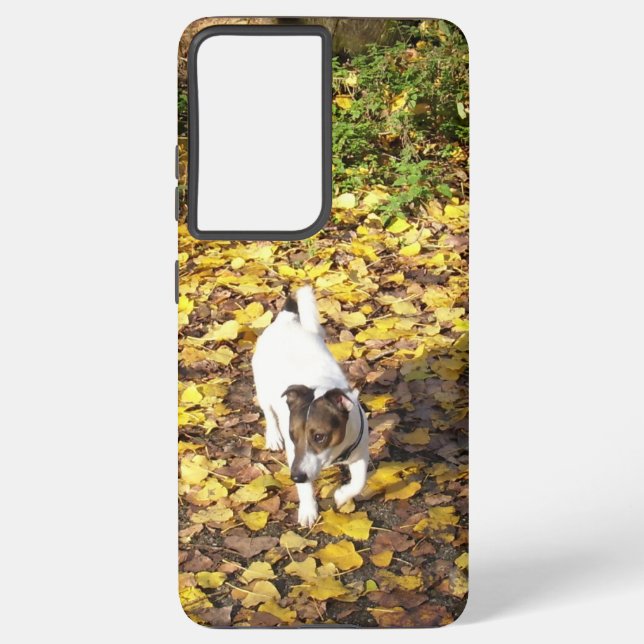 Coque Samsung Galaxy Capo von Oppenheim, Jack Russell Terrier Chien (Verso)
