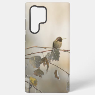 Coque Samsung Galaxy Colibri 5265