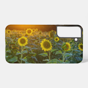 Coque Samsung Galaxy Coucher De Soleil Sur Le Terrain De Tournesol Sams
