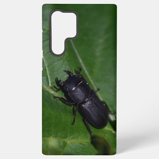 Coque Samsung Galaxy Dorcus parallelipipedus, le moindre dendroctone du (Verso)