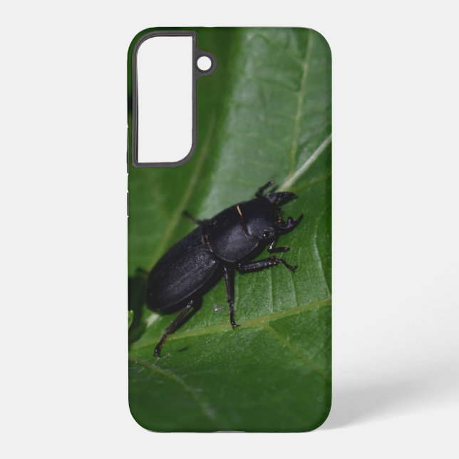 Coque Samsung Galaxy Dorcus parallelipipedus, le moindre dendroctone du (Verso)