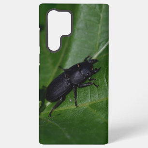Coque Samsung Galaxy Dorcus parallelipipedus, le petit lucane