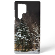 Esthétique de la forêt hivernale givré