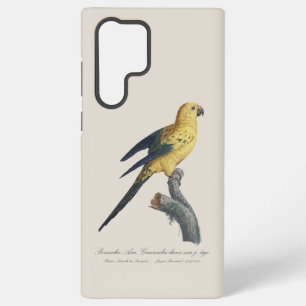 Coque Samsung Galaxy Guarouba dans fils jeune âge / Sun parakeet