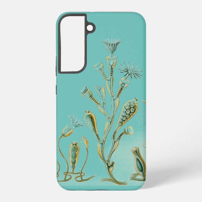 Coque Samsung Galaxy Haeckel vintage (Verso)