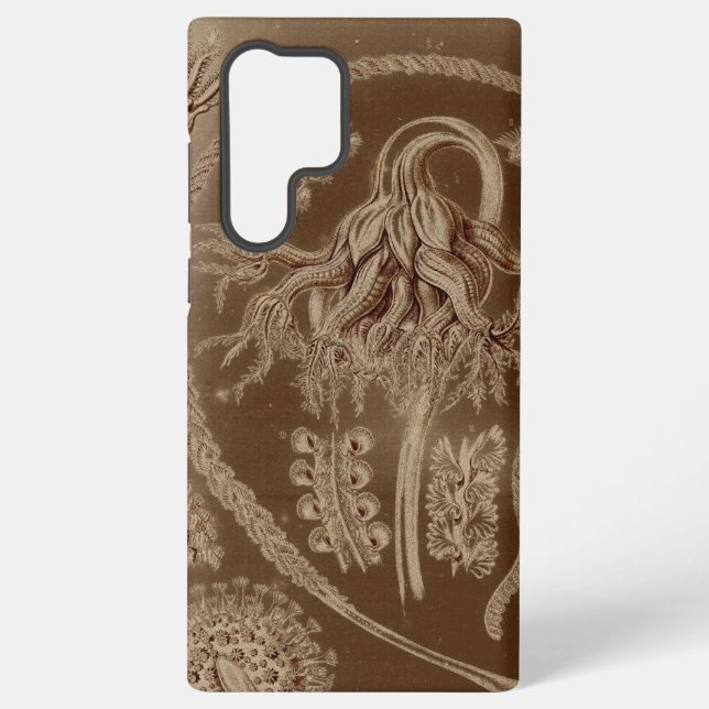 Coque Samsung Galaxy Haeckel vintage  (Verso)