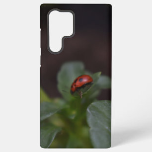 Coque Samsung Galaxy Ladybug