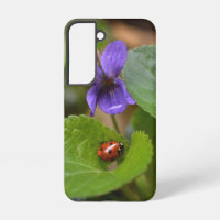 Ladybug sur les fleurs de violet doux