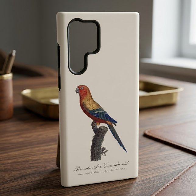 Coque Samsung Galaxy Perruche soleil mâle, Aratinga solstitialis (Sun Parakeet Male, Aratinga Solstitialis. Case)
