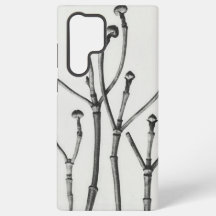 Photographie de la nature en noir et blanc minimal