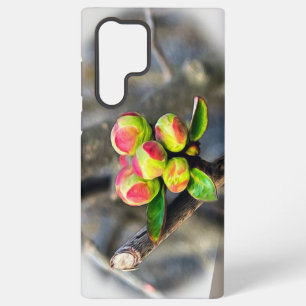 Coque Samsung Galaxy Premiers bourgeons