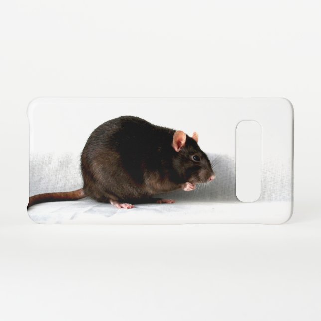 Coque Samsung Galaxy Rat sgcna (Dos Horizontal)