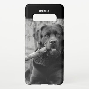 Coque Samsung Galaxy S10+ Téléchargement de la photo de chien d'animaux de c