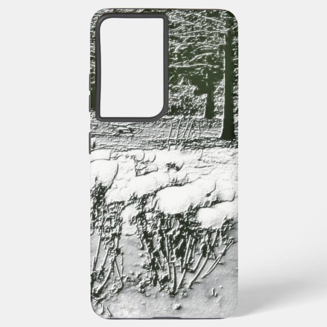 Coque Samsung Galaxy Wintry Park (Verso)