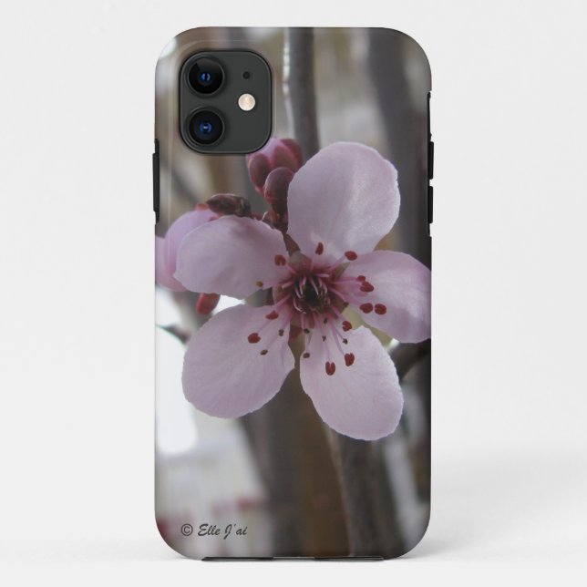 Coque Spring Blossom iPhone 5 (Dos)
