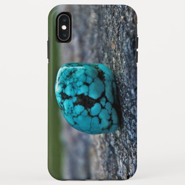 Coque Tough de Case-Mate pour iPhone XS Max d'Appl (Dos)