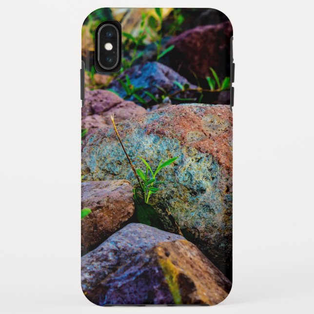 Coque Tough de Case-Mate pour iPhone XS Max d'Appl (Dos)