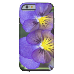 coque iphone 6 georgie coque iphone 6 georgie