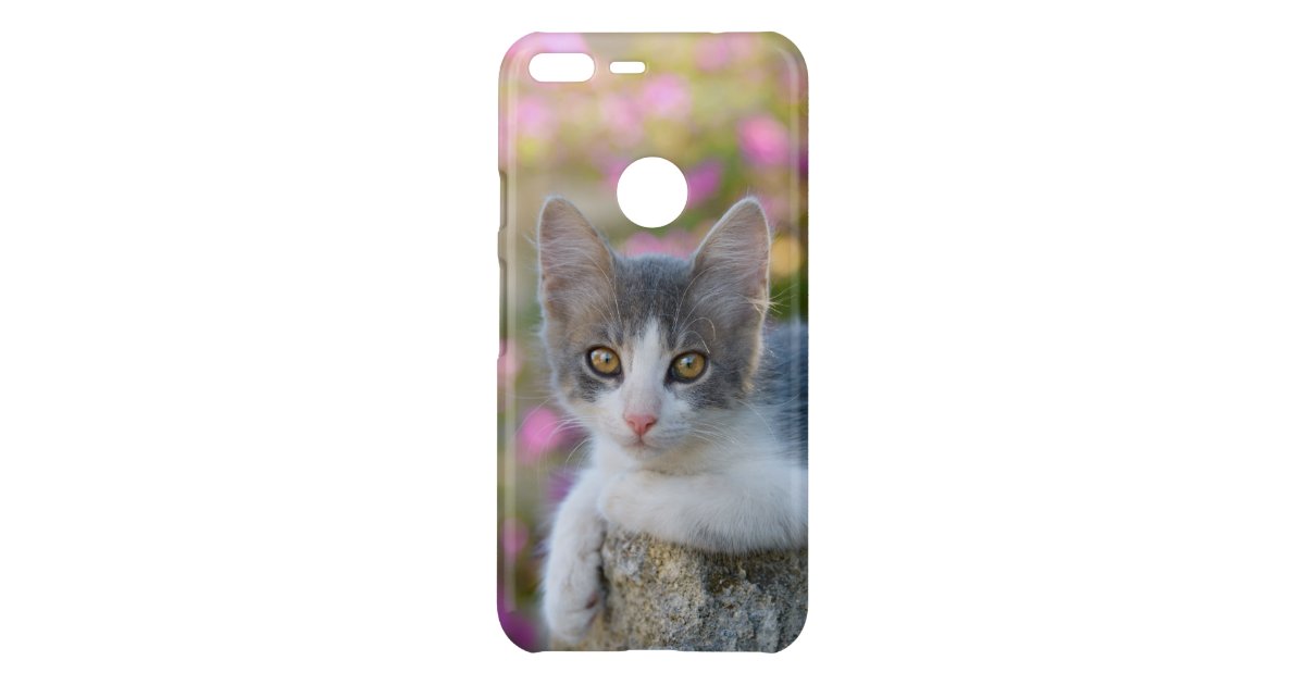 Coque Uncommon Google Pixel Xl Le Rose Bicolore Mignon De Chaton De Chat Fleurit Zazzle Fr Coque Uncommon Google Pixel Xl Le Rose Bicolore Mignon De Chaton De Chat Fleurit Zazzle Fr