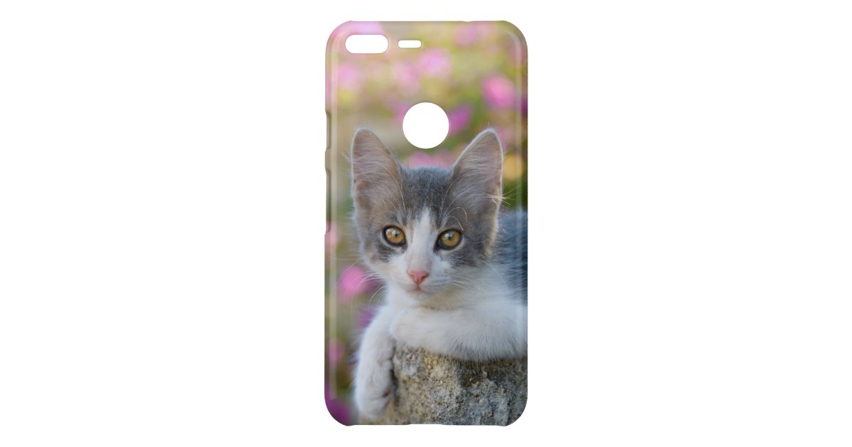 Coque Uncommon Google Pixel Xl Le Rose Bicolore Mignon De Chaton De Chat Fleurit Zazzle Fr