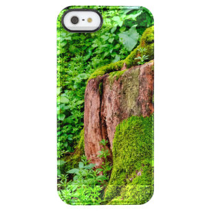 Coque iPhone Clear SE/5/5s Arbre