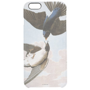 Coque iPhone 6 Plus Audubon : Hirondelle d'arbre