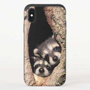Coque Coulissante Pour iPhone X Bébés Raccoons se jettent dans l'arbre
