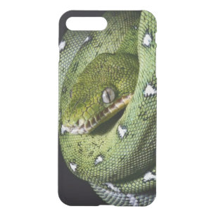 Coque iPhone 8 Plus/7 Plus Boa vert de serpent vert d'arbre en Bolivie