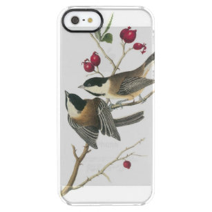 Coque iPhone Clear SE/5/5s Chickadee Noir-couvert par Audubon