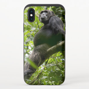 Coque Coulissante Pour iPhone X Le chimpanzé se détend dans l'arbre